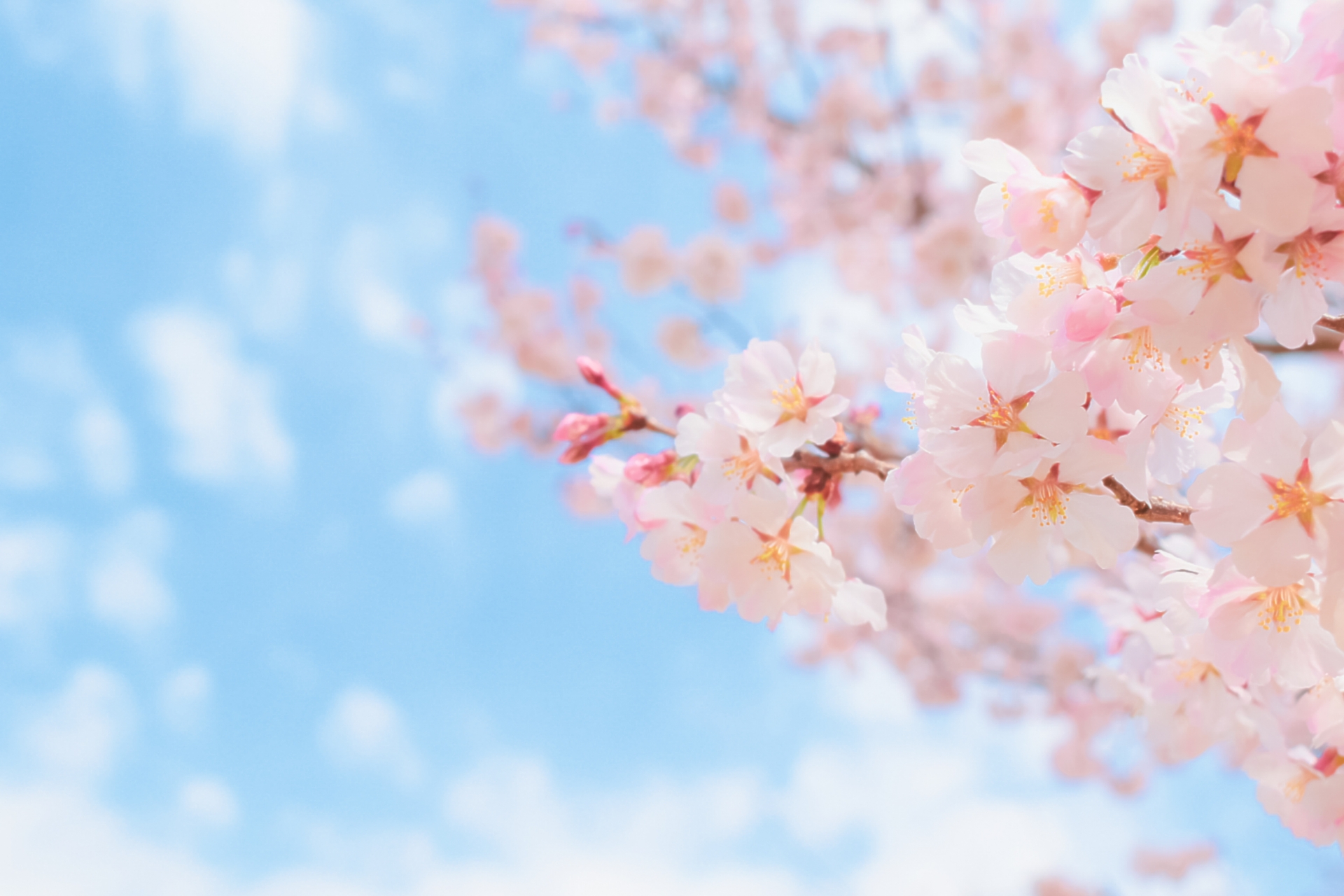 住宅省エネ2023キャンペーンはじまります！