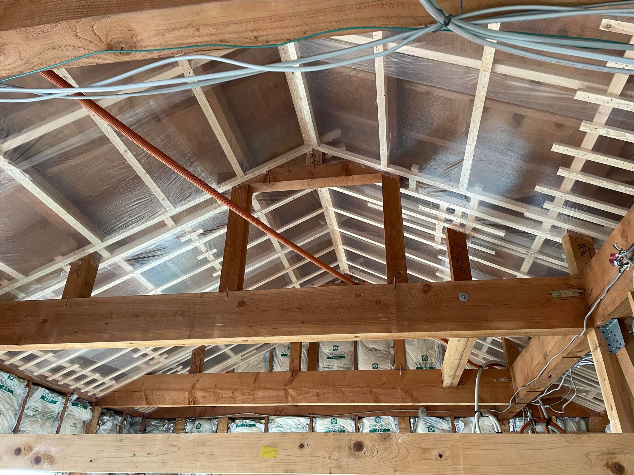 今後のイベントと近況