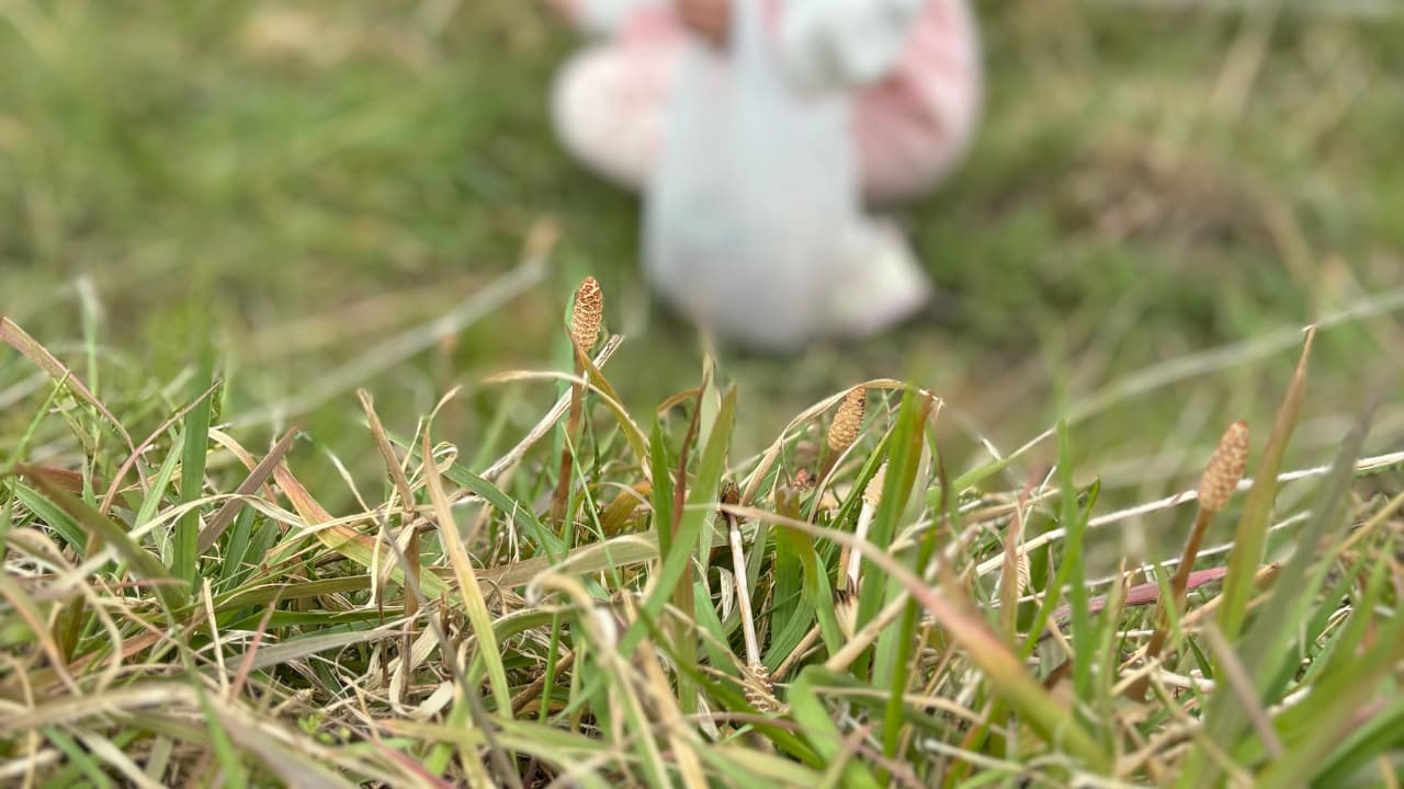 「そういえば、花粉症だった事を忘れていた！」— 花粉症を忘れるほど快適な暮らしの秘密とは？